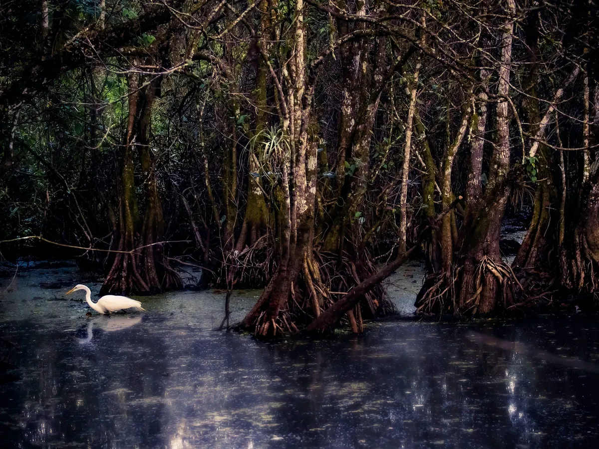 Aguacaliente Wildlife Sanctuary Hot Springs