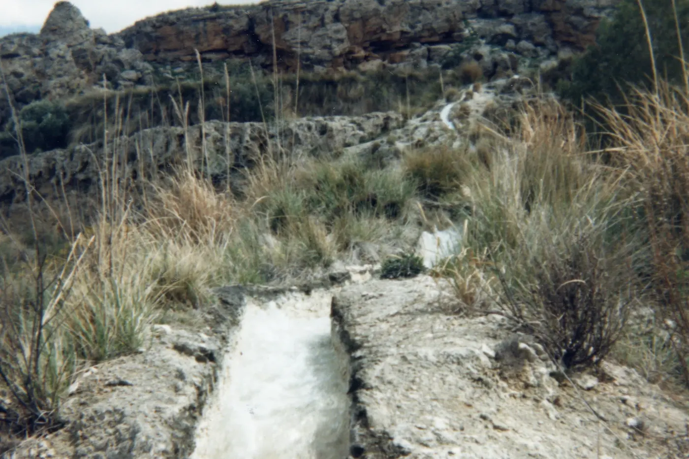 Alicun de las Torres
