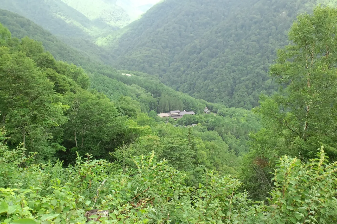 Awanoyu