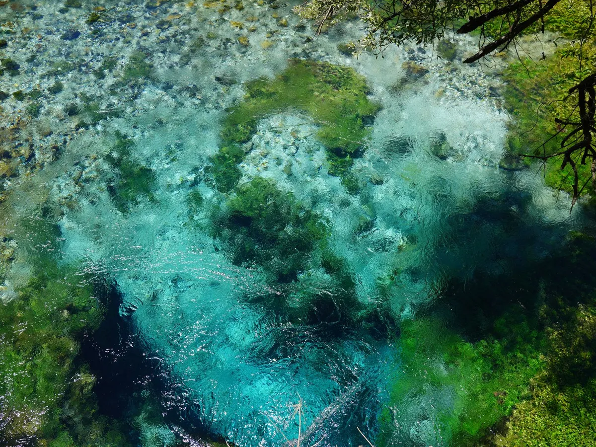Belmont Springs