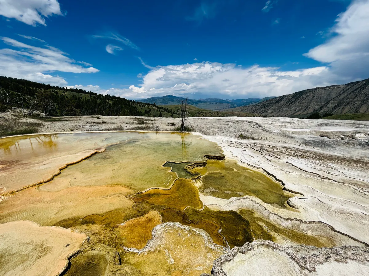Boy Scout Hot Springs