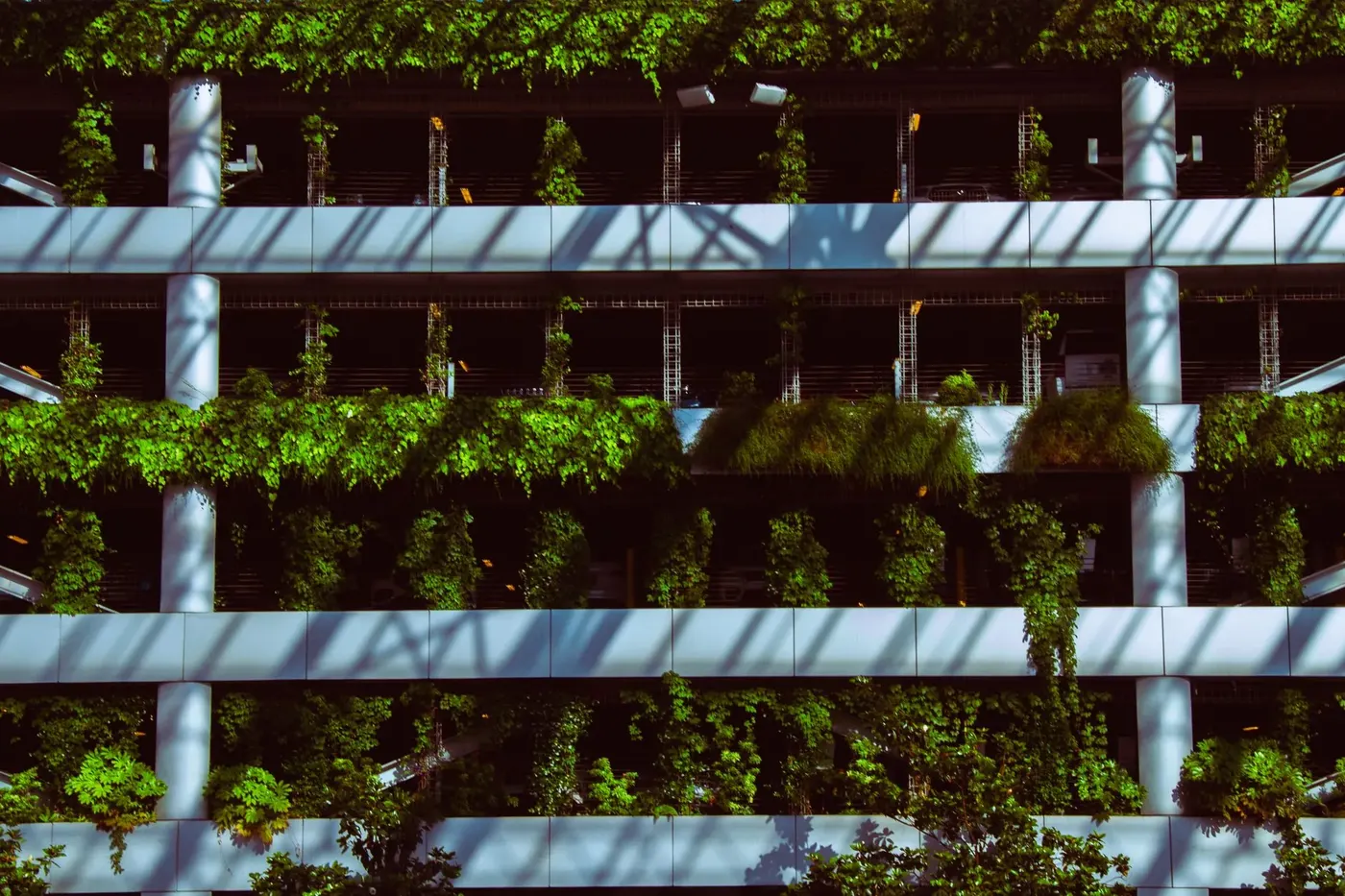 CRE Natural Building
