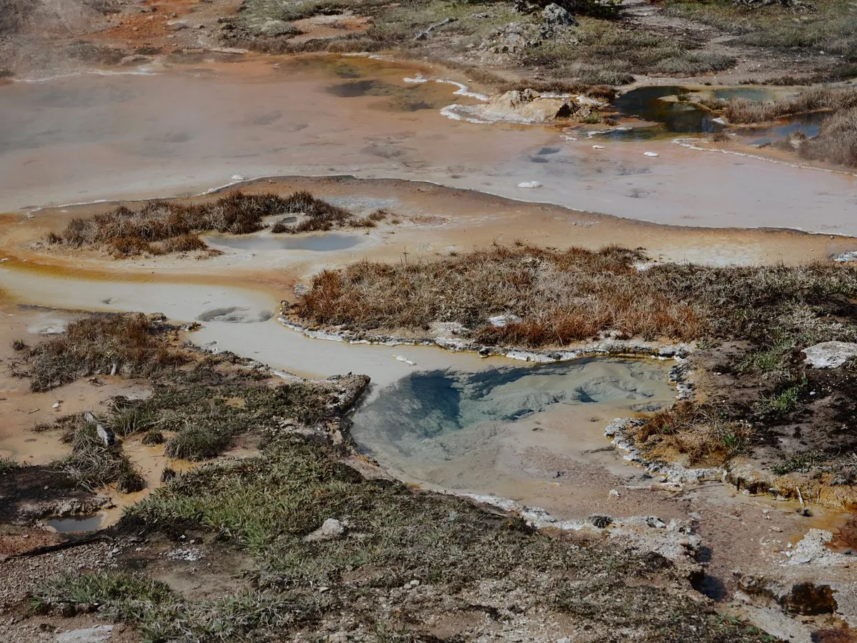 Crowley Hot Spring (Wild Willy's)
