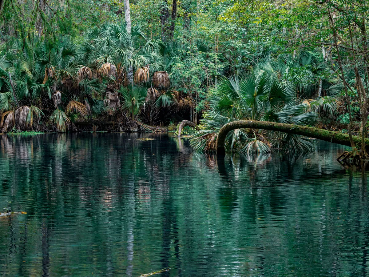 Fanning Springs State Park