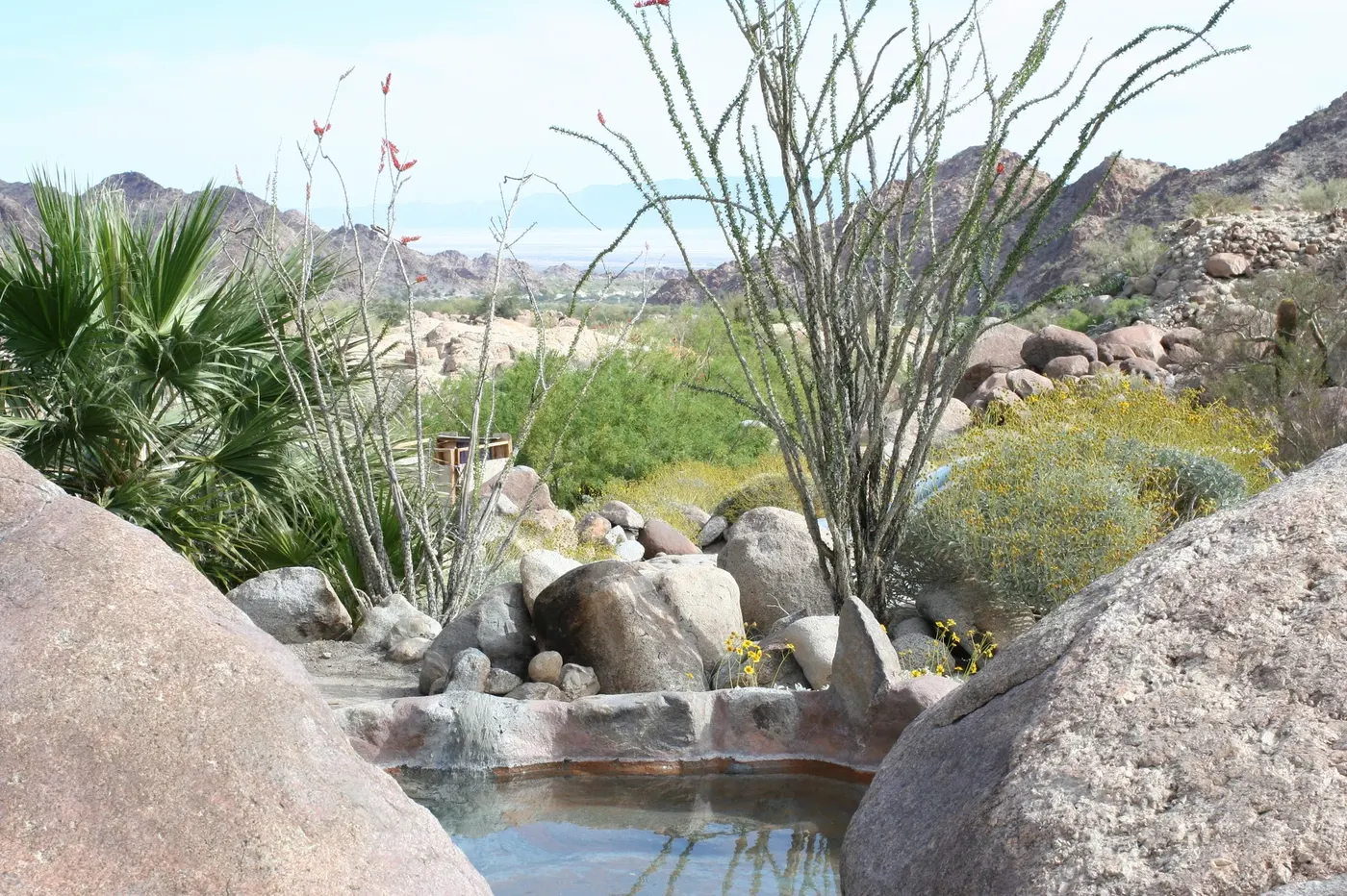 Guadalupe Canyon Oasis Hot Springs