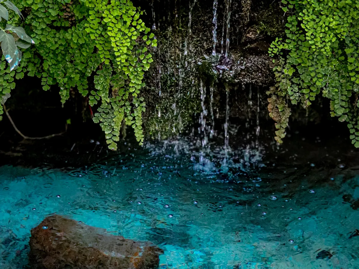 Hamilton Pool Preserve