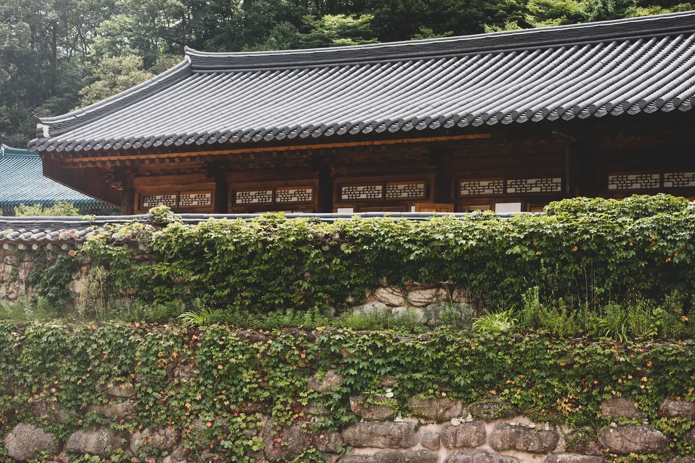 Jjimjilbang — Korean Bathhouse Tradition