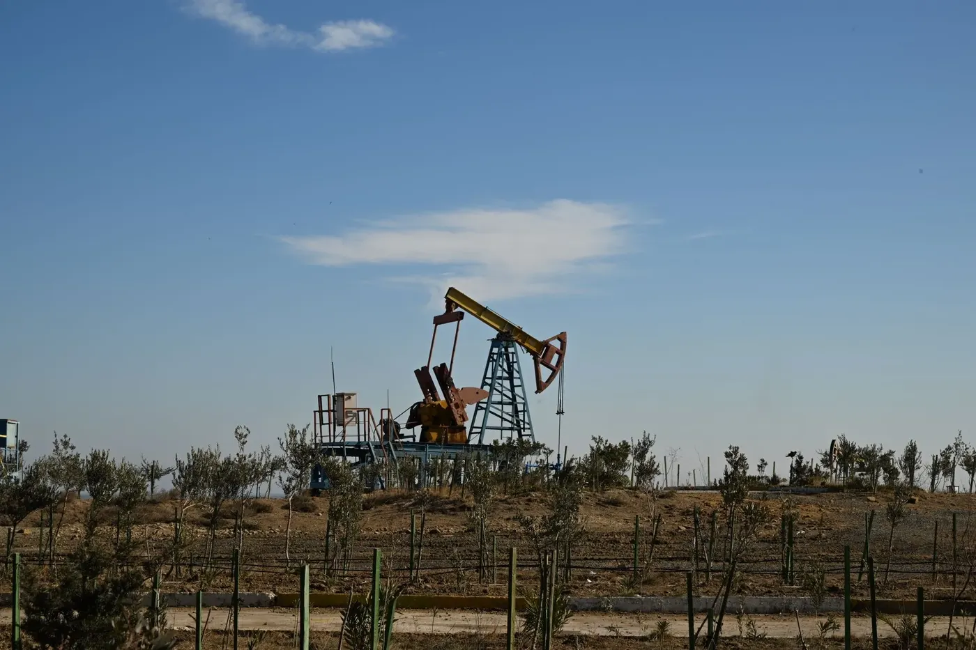 Naftalan Petroleum Spa