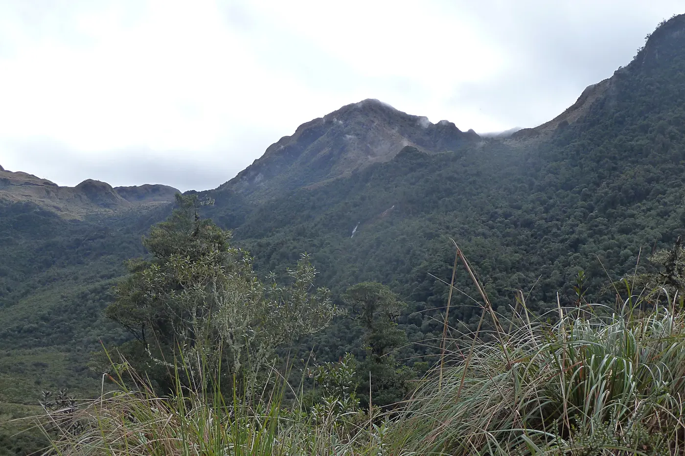 Papallacta Hot Springs