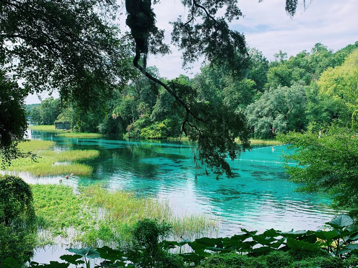 Rainbow Springs State Park