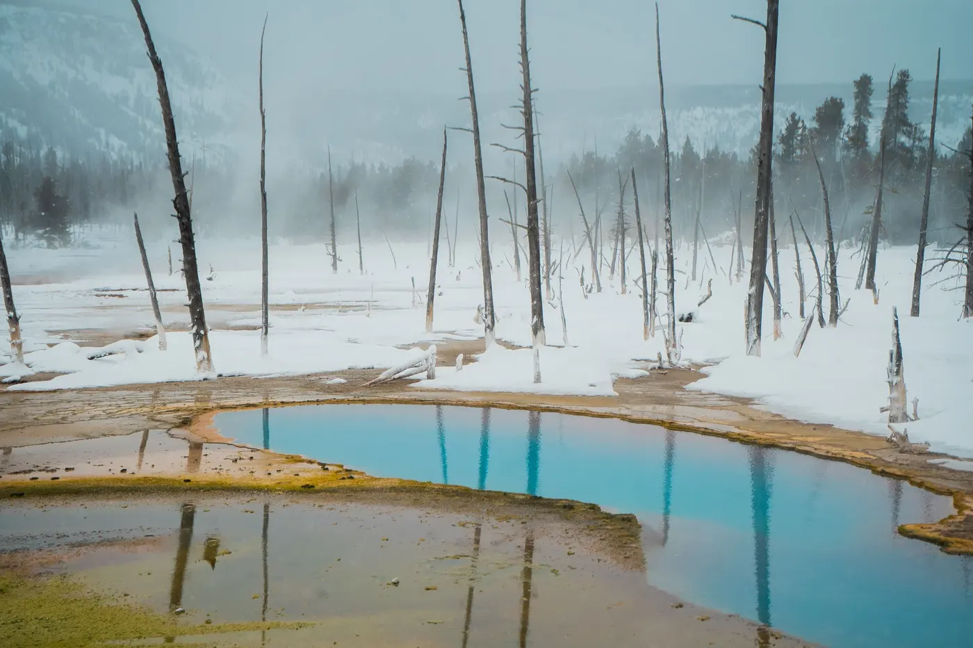 Reykjafjardarlaug Hot Pool