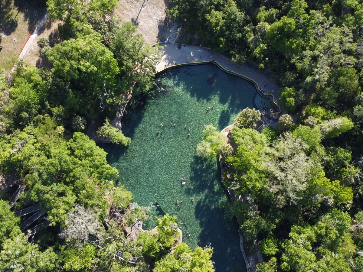 Royal Springs