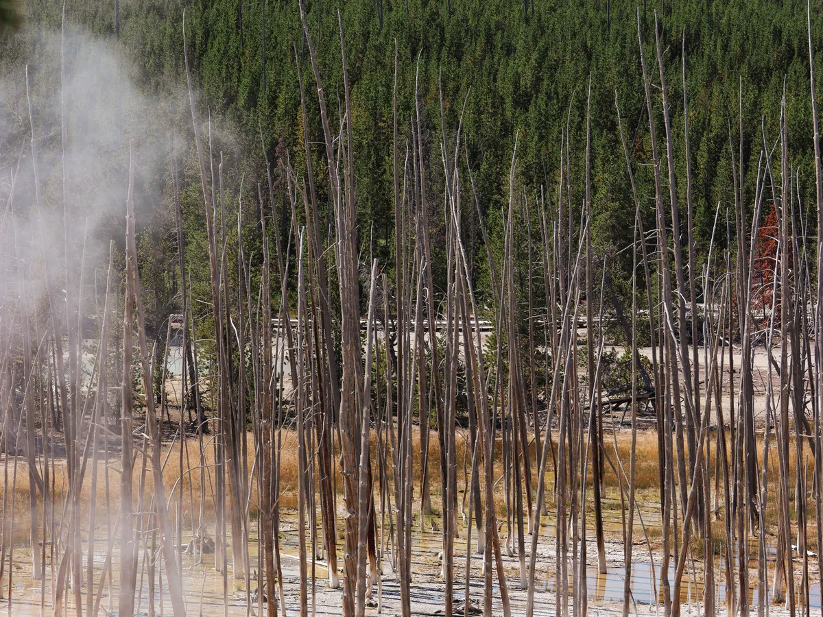 Shelokum Hot Springs