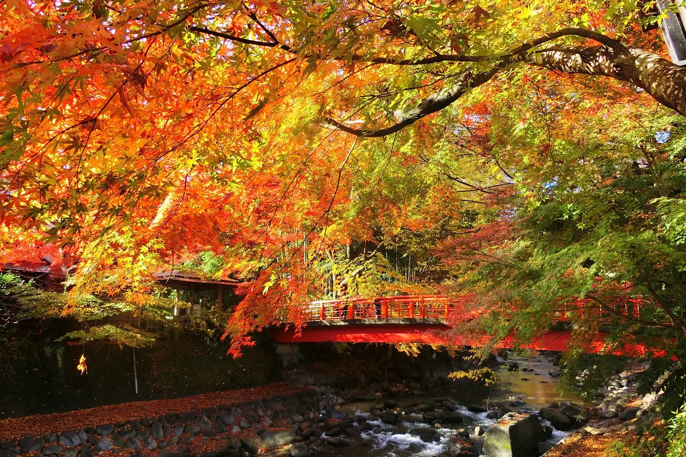 Shuzenji Onsen