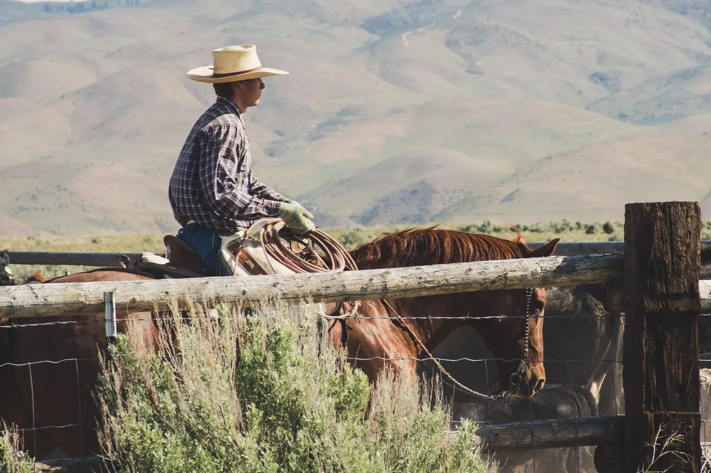 Spot Ranch