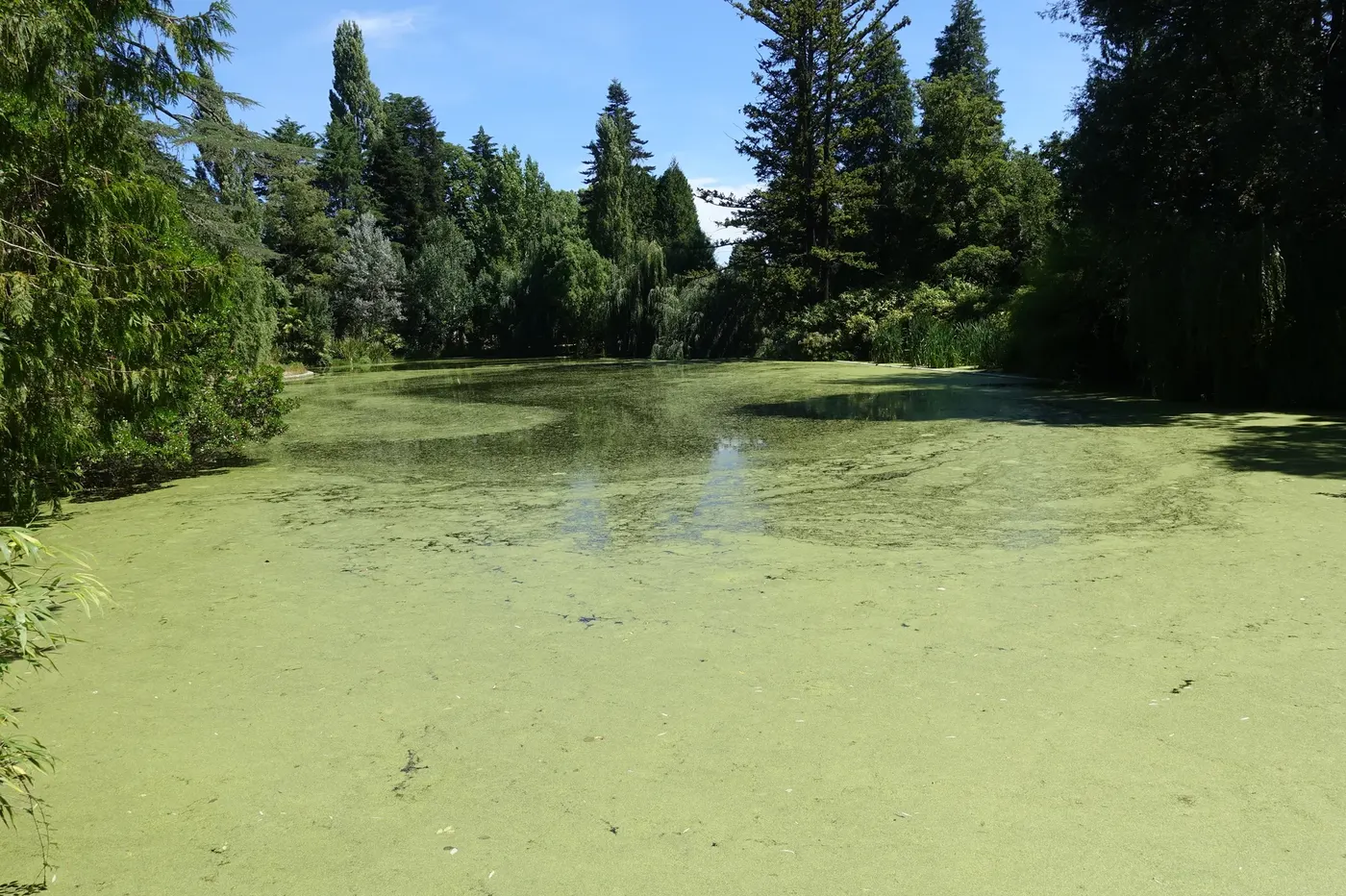 Termas de Pedras Salgadas