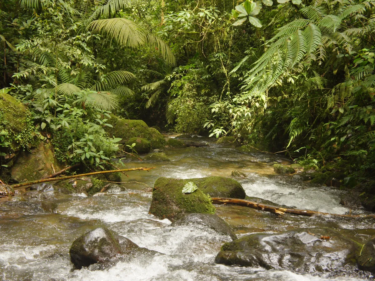Termas del Río
