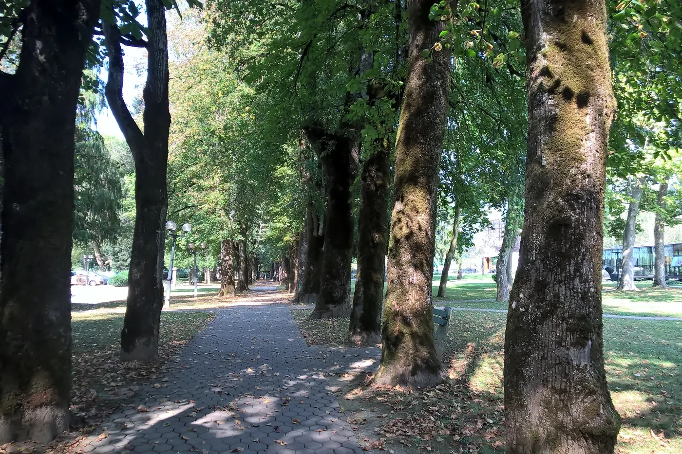 Terme Dolenjske Toplice