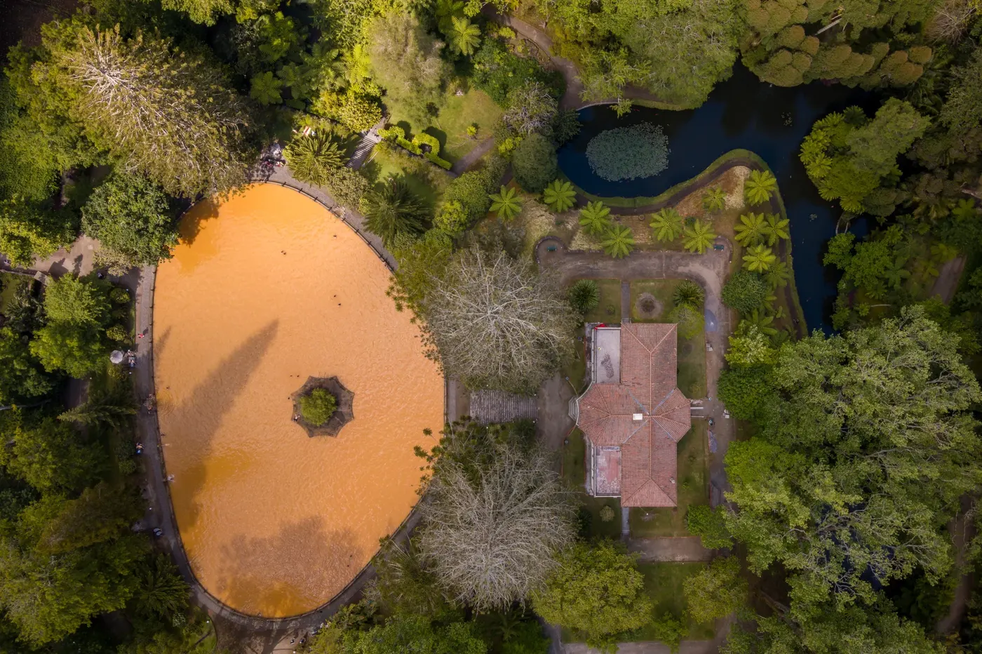 Terra Nostra Thermal Pool