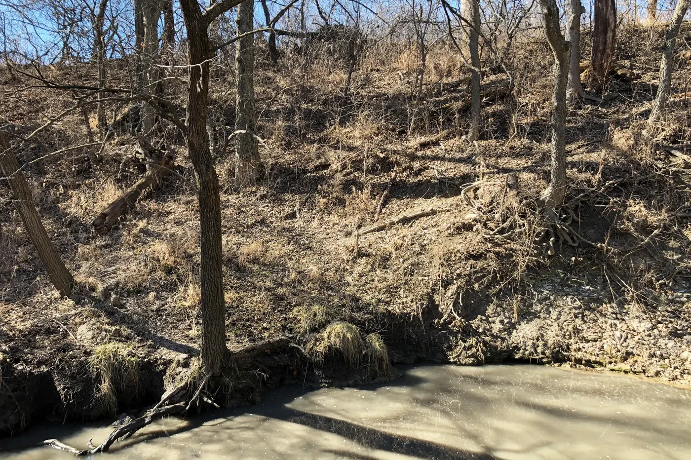 The Lost Spring