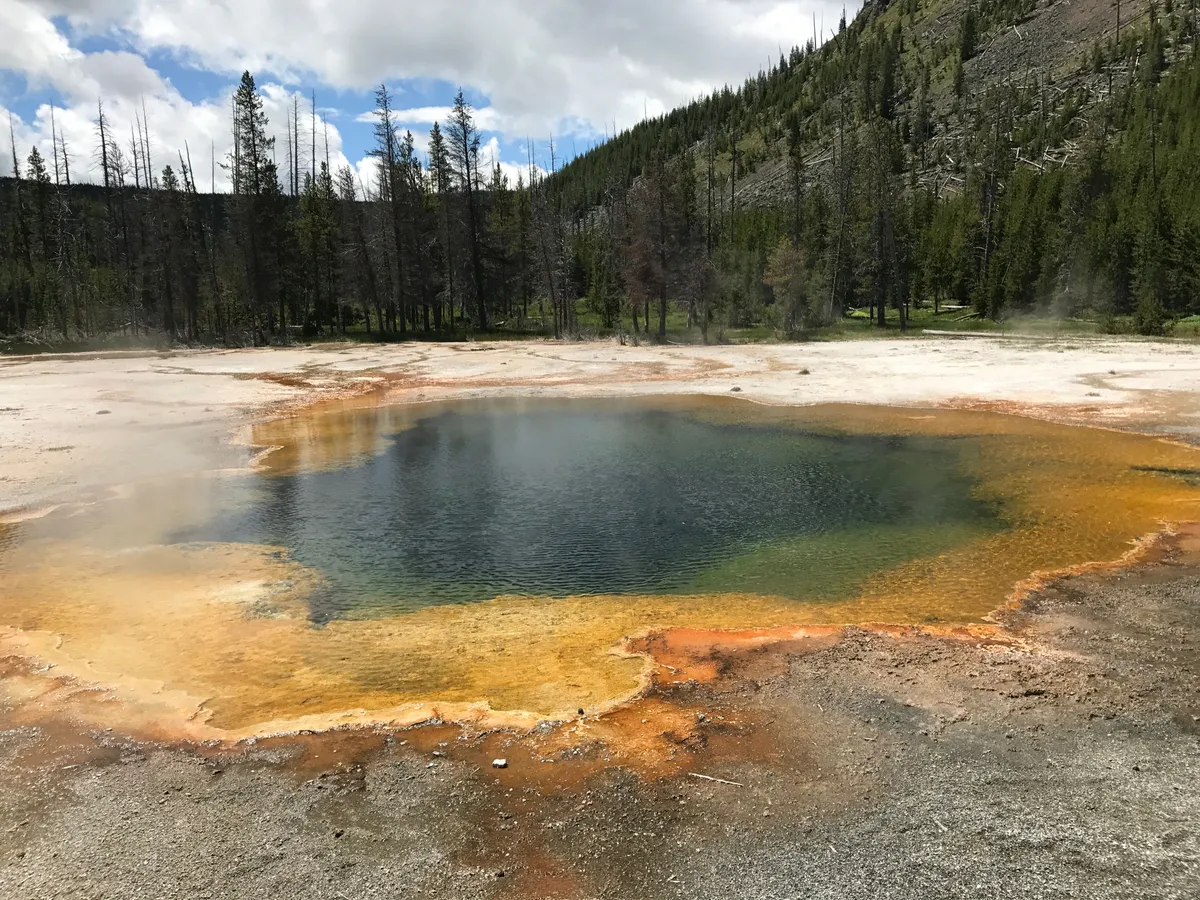 Trinity Hot Springs