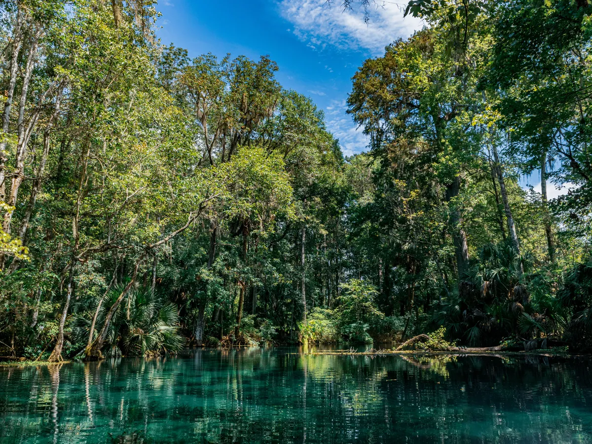 Troy Spring State Park