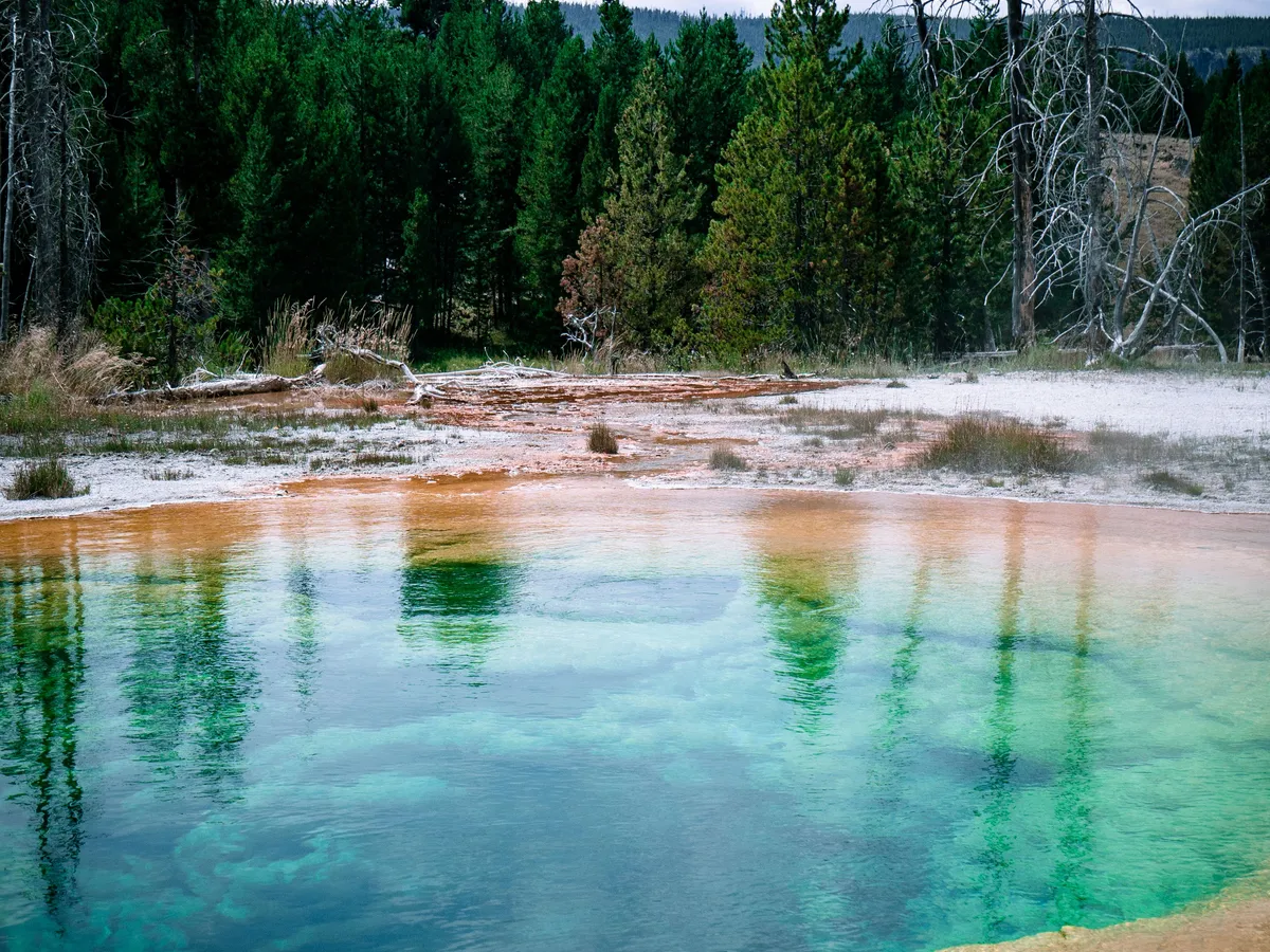 Wild Horse Hot Springs