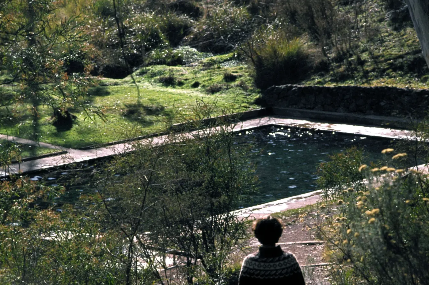 Yarrangobilly Caves Thermal Pool